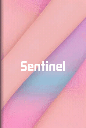 Sentinel book cover - Leapahead summary