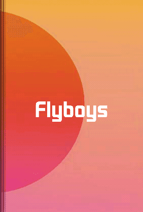 Flyboys book cover - Leapahead summary
