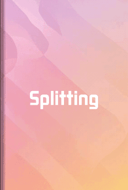 Splitting book cover - Leapahead summary