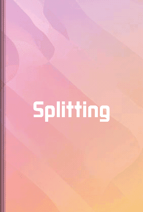 Splitting book cover - Leapahead summary