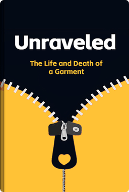 Unraveled book cover - Leapahead summary