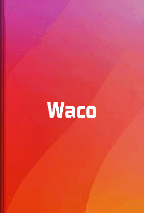 Waco book cover - Leapahead summary