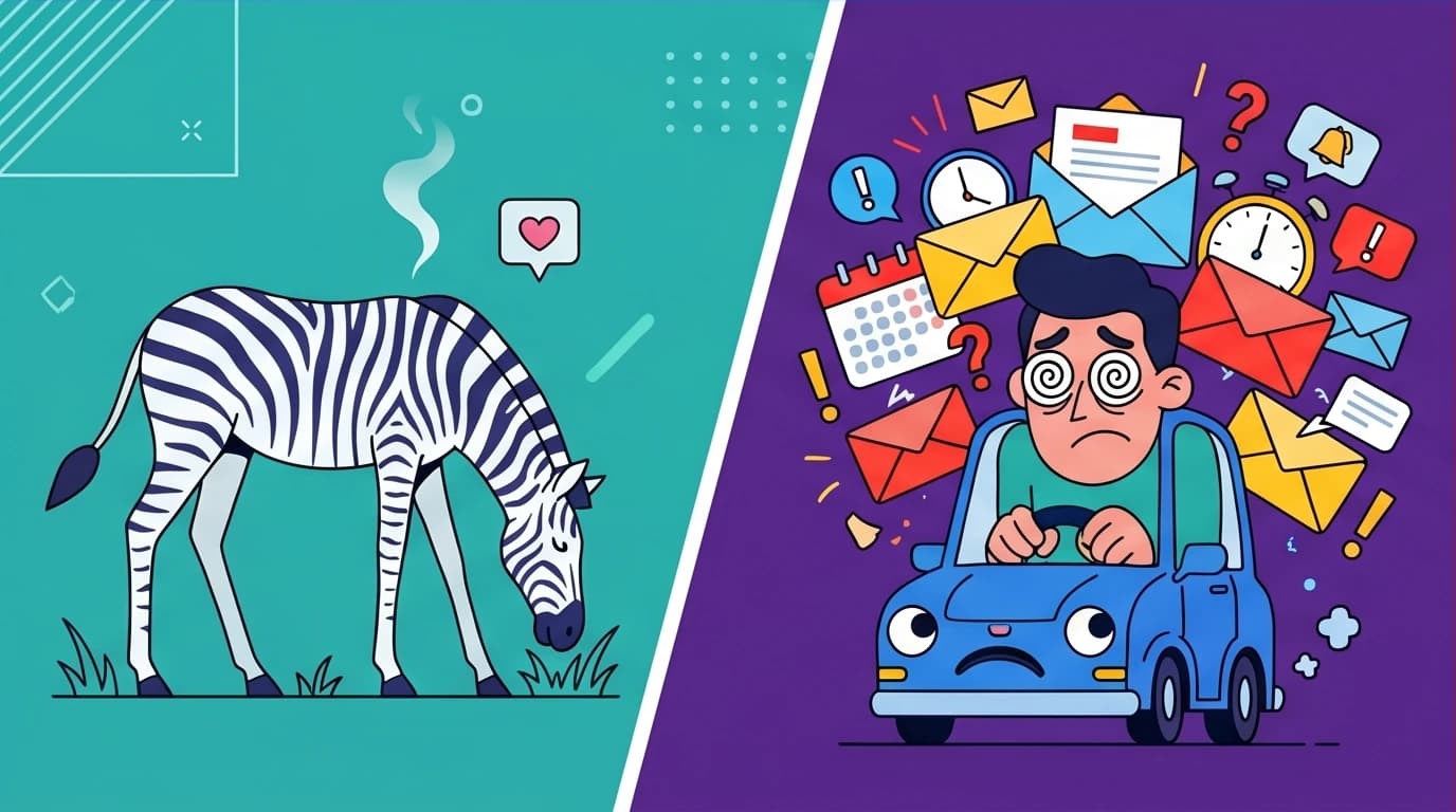 A visual comparison from stress management books: a calm zebra whose stress disappears versus a human with chronic anxiety from work and life pressures.