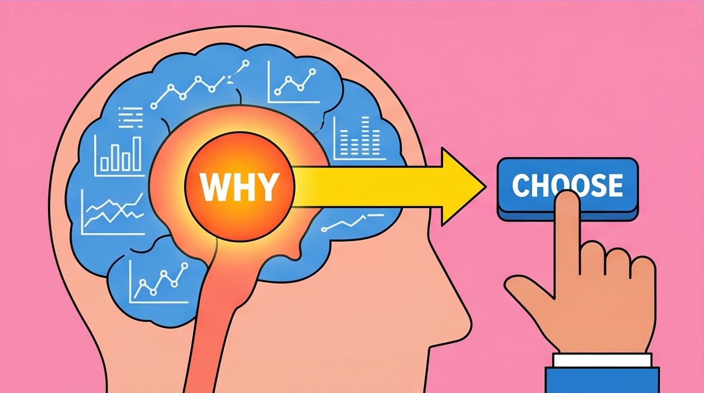 A visual metaphor linking the Golden Circle to the brain, where the 'WHY' speaks directly to the limbic system that drives decisions.